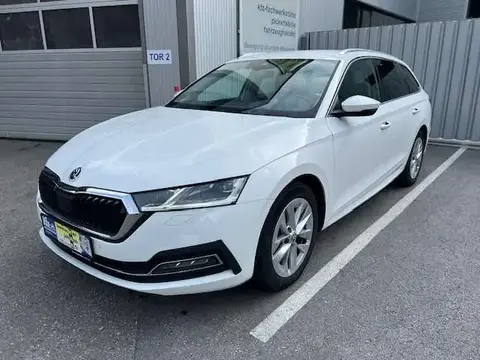 Annonce SKODA OCTAVIA Diesel 2021 d'occasion 