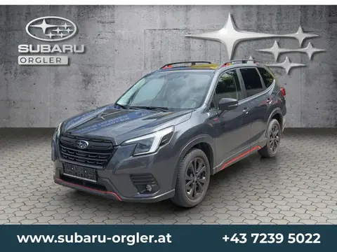 Used SUBARU FORESTER Petrol 2022 Ad 