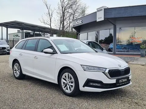 Annonce SKODA OCTAVIA Essence 2023 d'occasion 