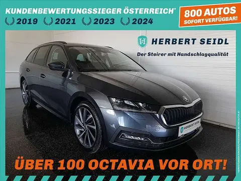 Annonce SKODA OCTAVIA Diesel 2021 d'occasion 