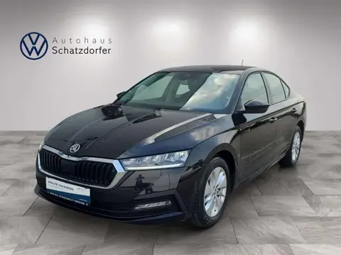 Annonce SKODA OCTAVIA Diesel 2021 d'occasion 