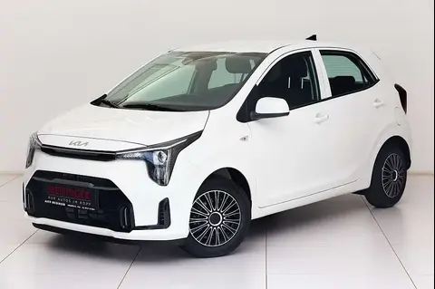 Used KIA PICANTO Petrol 2024 Ad 