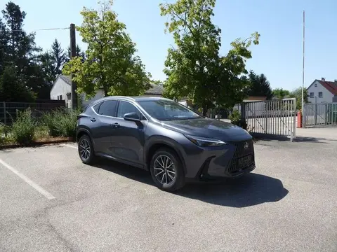 Used LEXUS NX Hybrid 2024 Ad 