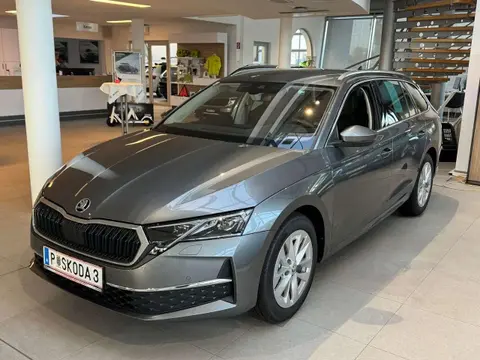 Annonce SKODA OCTAVIA Diesel 2024 d'occasion 