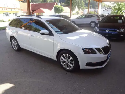 Annonce SKODA OCTAVIA Diesel 2019 d'occasion 