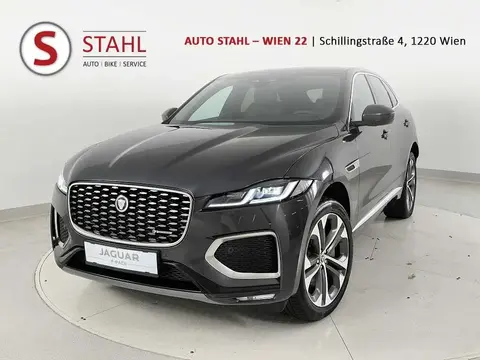 Used JAGUAR F-PACE Hybrid 2023 Ad 