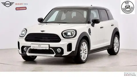 Used MINI COOPER Diesel 2023 Ad 