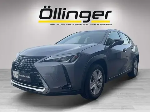 Used LEXUS UX Hybrid 2020 Ad 