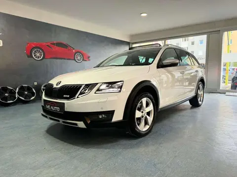 Annonce SKODA OCTAVIA Diesel 2019 d'occasion 