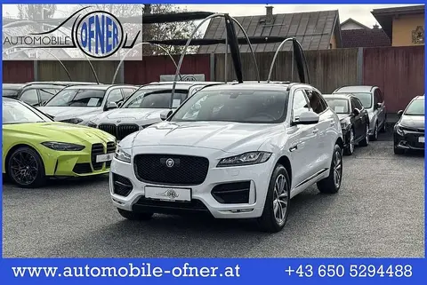 Used JAGUAR F-PACE Diesel 2016 Ad 