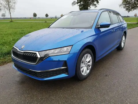 Annonce SKODA OCTAVIA Diesel 2024 d'occasion 