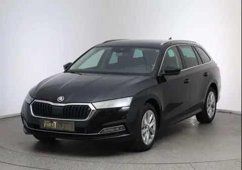 Annonce SKODA OCTAVIA Diesel 2024 d'occasion 