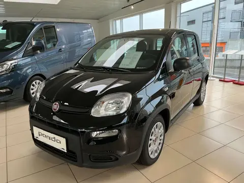 Used FIAT PANDA Petrol 2024 Ad 