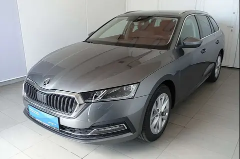 Annonce SKODA OCTAVIA Diesel 2024 d'occasion 