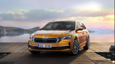 Annonce SKODA OCTAVIA Diesel 2024 d'occasion 