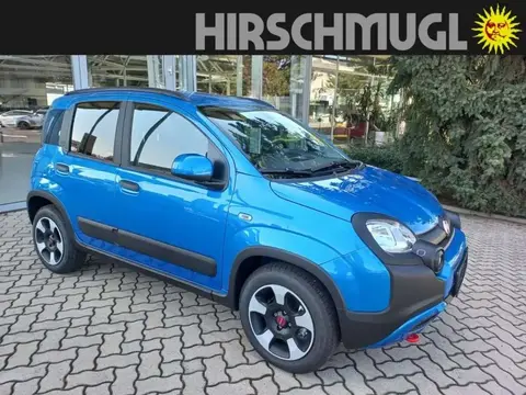 Annonce FIAT PANDA Essence 2024 d'occasion 