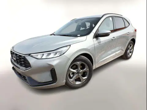 Annonce FORD KUGA Essence 2024 d'occasion 