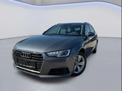 Annonce AUDI A4 Diesel 2019 d'occasion 