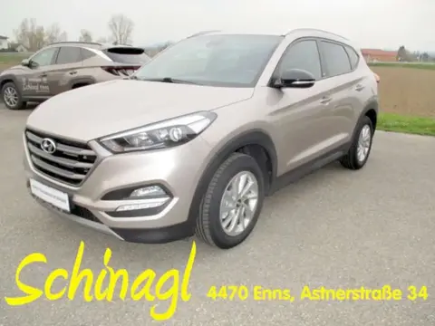 Used HYUNDAI TUCSON Diesel 2019 Ad 