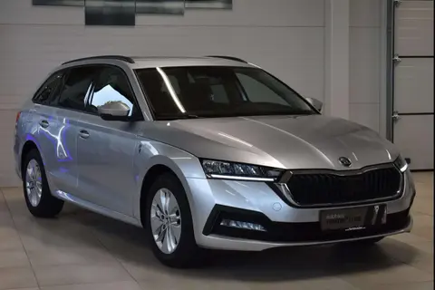 Annonce SKODA OCTAVIA Diesel 2021 d'occasion 