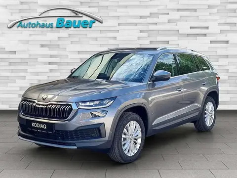 Used SKODA KODIAQ Petrol 2024 Ad 