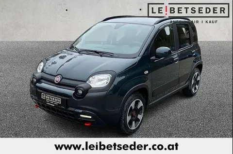 Annonce FIAT PANDA Essence 2024 d'occasion 