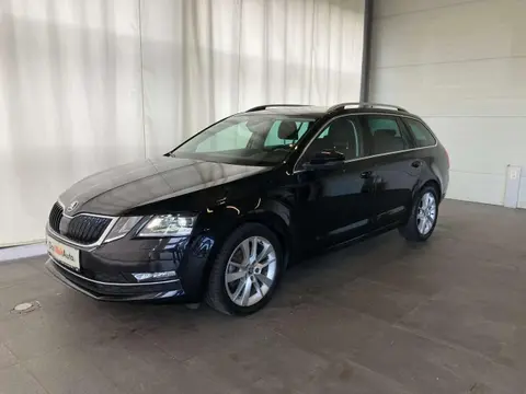 Annonce SKODA OCTAVIA Diesel 2020 d'occasion 