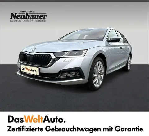 Annonce SKODA OCTAVIA Diesel 2024 d'occasion 