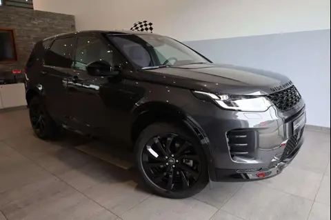 Annonce LAND ROVER DISCOVERY Diesel 2024 d'occasion 