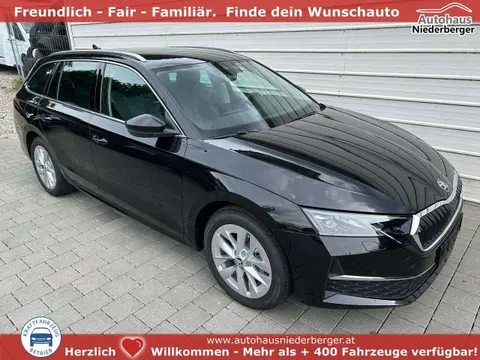 Used SKODA OCTAVIA Petrol 2024 Ad 