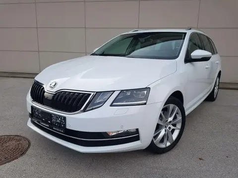 Annonce SKODA OCTAVIA Diesel 2019 d'occasion 