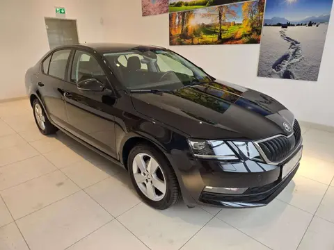 Annonce SKODA OCTAVIA Diesel 2019 d'occasion 