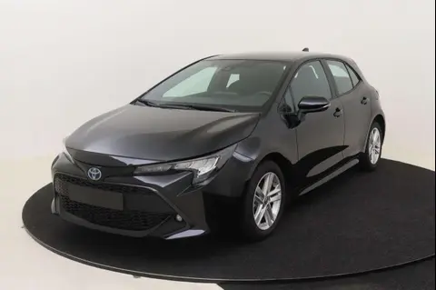 Used TOYOTA COROLLA Petrol 2023 Ad 