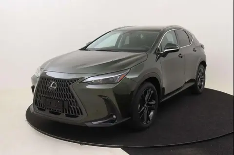 Annonce LEXUS NX Hybride 2024 d'occasion 