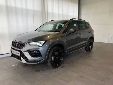 Annonce CUPRA ATECA Essence 2024 d'occasion 