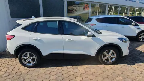 Used FORD KUGA Hybrid 2023 Ad 