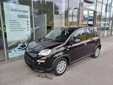 Annonce FIAT PANDA Essence 2024 d'occasion 