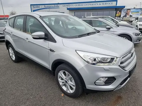 Used FORD KUGA Diesel 2019 Ad 