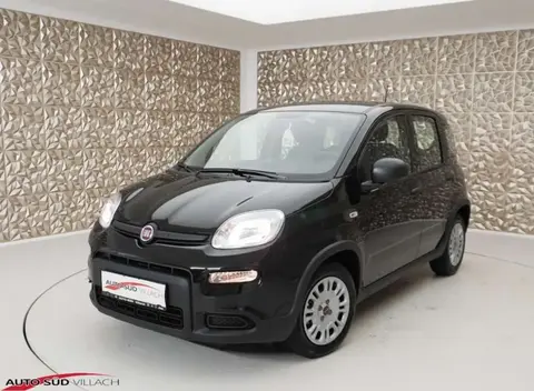 Used FIAT PANDA Petrol 2024 Ad 