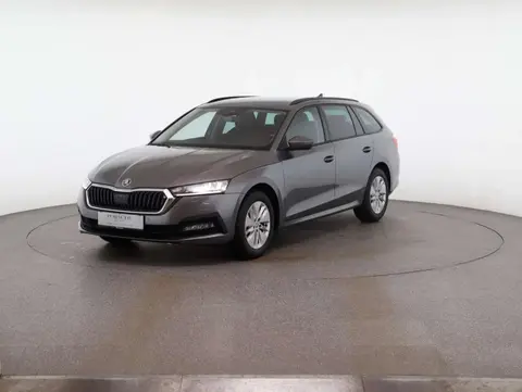 Used SKODA OCTAVIA Petrol 2024 Ad 