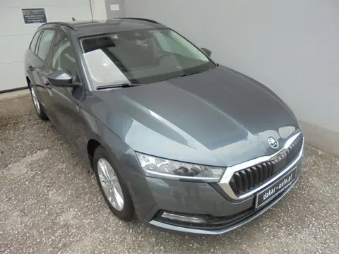 Annonce SKODA OCTAVIA Diesel 2021 d'occasion 