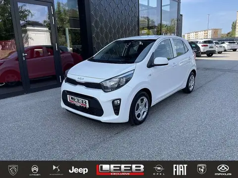 Annonce KIA PICANTO Essence 2023 d'occasion 