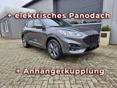 Used FORD KUGA Hybrid 2024 Ad 