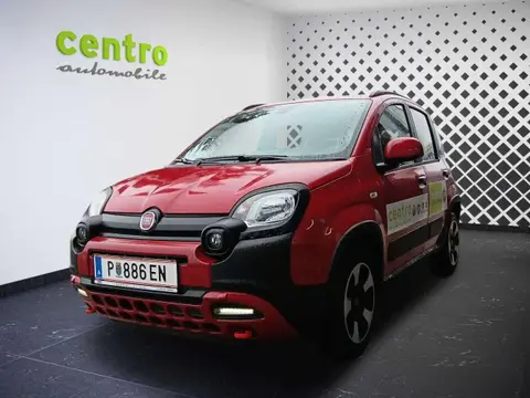 Annonce FIAT PANDA Essence 2024 d'occasion 