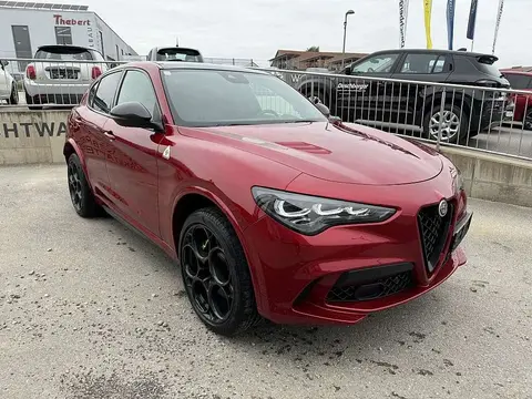 Used ALFA ROMEO STELVIO Petrol 2023 Ad 