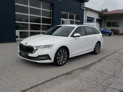 Used SKODA OCTAVIA Diesel 2021 Ad 