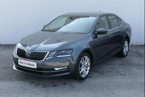 Used SKODA OCTAVIA Diesel 2017 Ad 