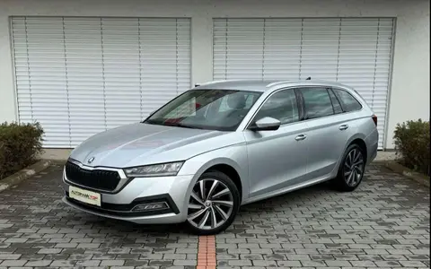 Annonce SKODA OCTAVIA Diesel 2020 d'occasion 