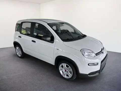 Used FIAT PANDA Petrol 2024 Ad 