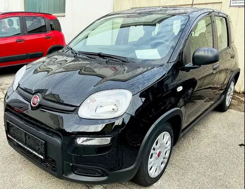 Annonce FIAT PANDA Essence 2024 d'occasion 